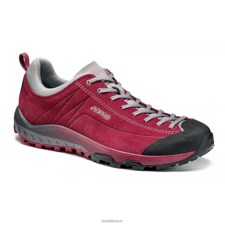 gerberaAsolo B2RND126 espace gv femmes