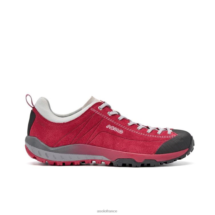 gerberaAsolo B2RND126 espace gv femmes