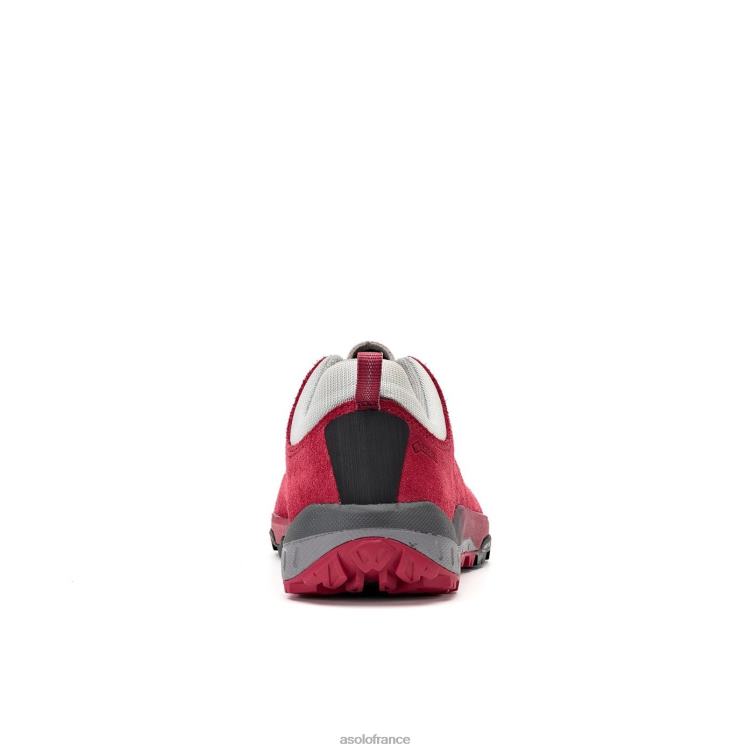 gerberaAsolo B2RND126 espace gv femmes