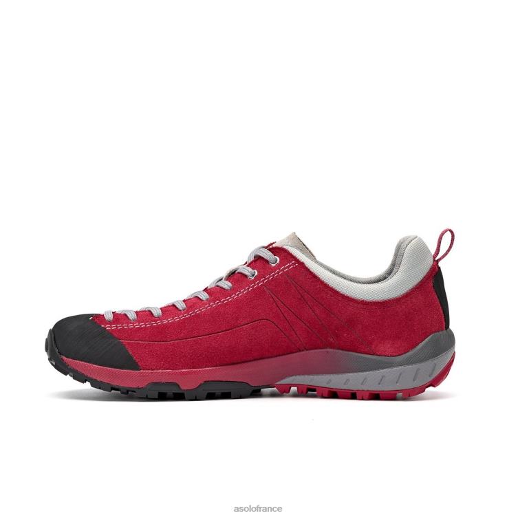 gerberaAsolo B2RND126 espace gv femmes