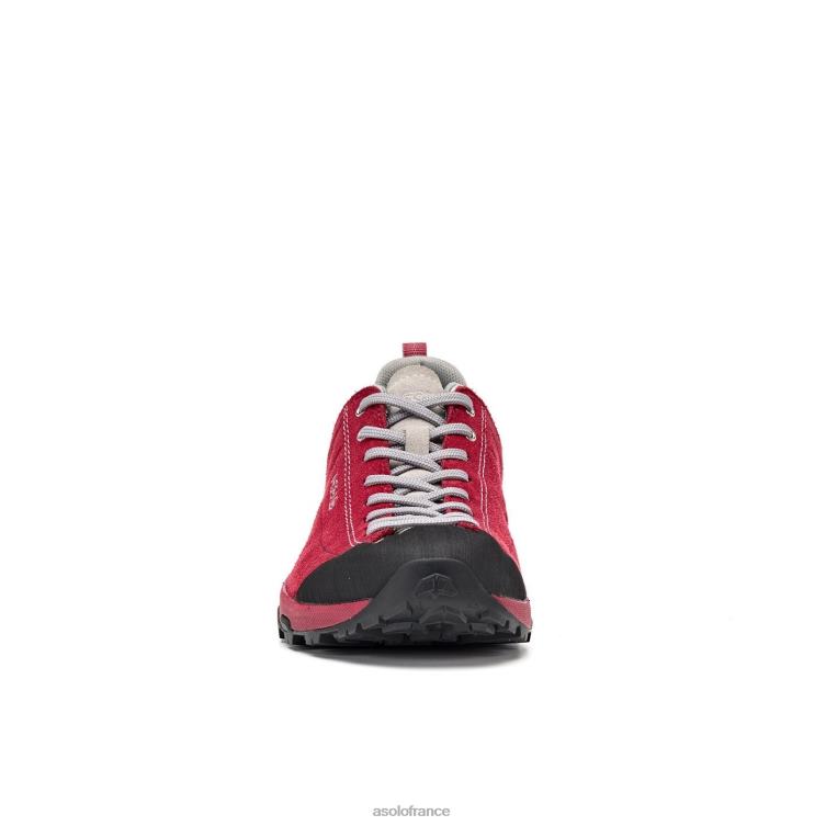 gerberaAsolo B2RND126 espace gv femmes