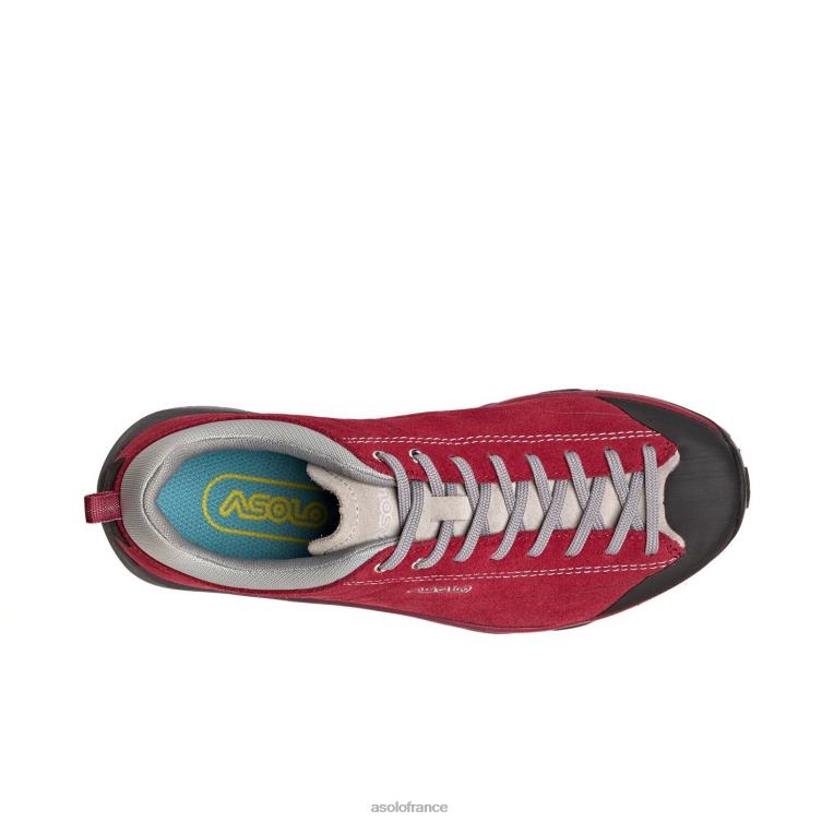 gerberaAsolo B2RND126 espace gv femmes