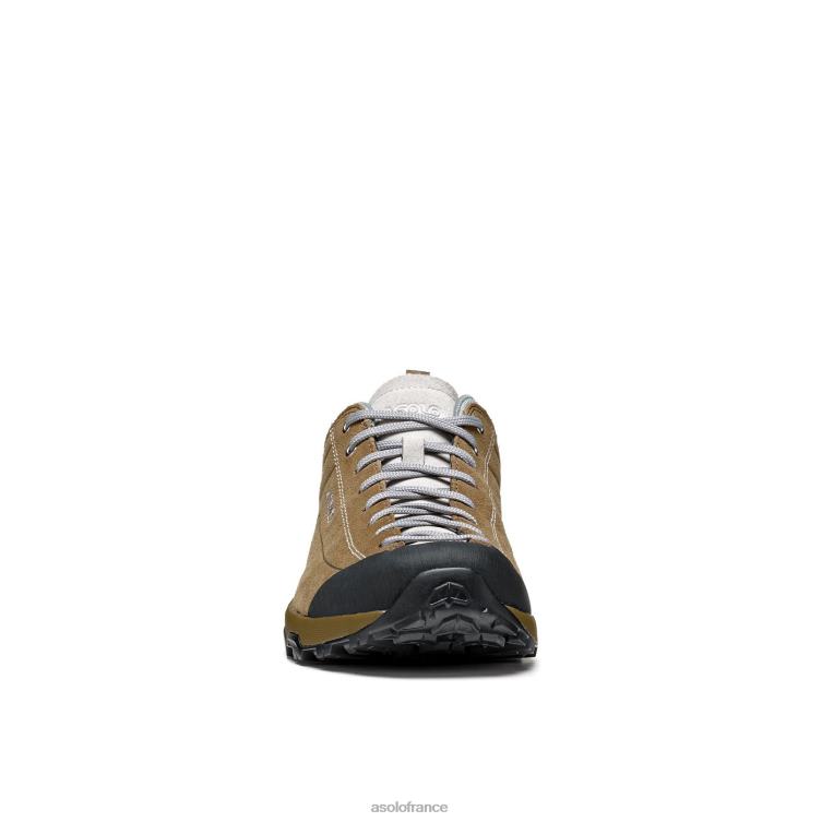 tortueAsolo B2RND128 espace gv femmes