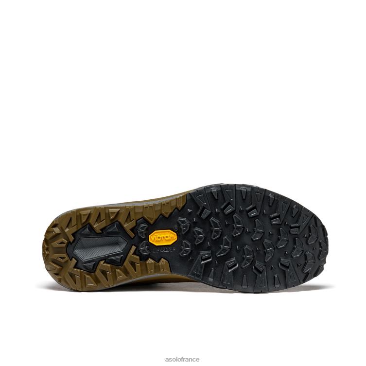 tortueAsolo B2RND128 espace gv femmes