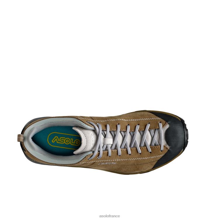 tortueAsolo B2RND128 espace gv femmes