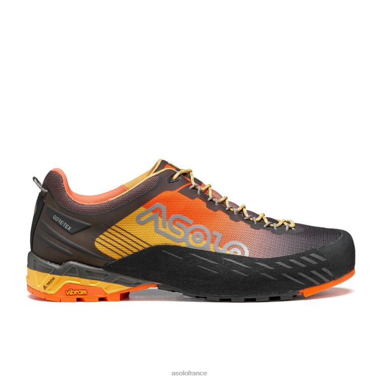 buzz de transe/faux pollenAsolo B2RND63 eldo gv hommes