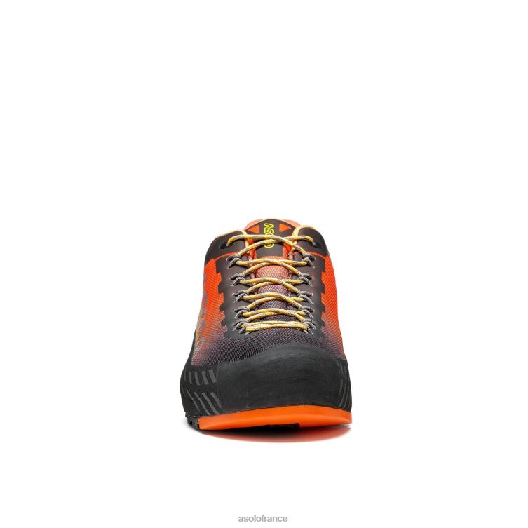 buzz de transe/faux pollenAsolo B2RND63 eldo gv hommes