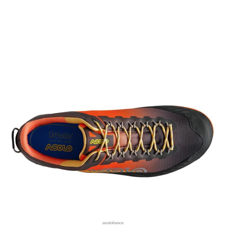 buzz de transe/faux pollenAsolo B2RND63 eldo gv hommes