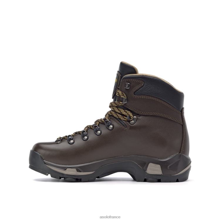 chataîgneAsolo B2RND67 tps 520 gv evo hommes